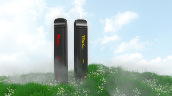 Cigarrillo disponible de la batería del e-líquido 1350mah del vaporizador 10ml de los soplos de la BARRA SMOK de BOU 3000