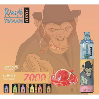 Los soplos disponibles de encargo 45 del vaporizador 7000 de 14ML RADNM Vape condimentan Cig de E