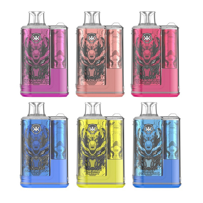 Pluma vaporizadora desechable recargable ECK KK 12000 Puffs 5% de nicotina Vapores de buen sabor